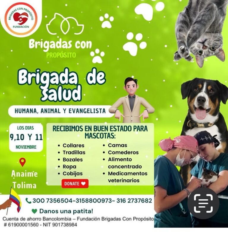 Brigada — 14 de agosto de 2024