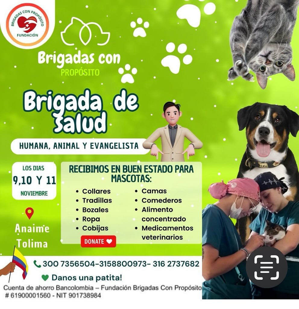 Brigada — 14 de agosto de 2024