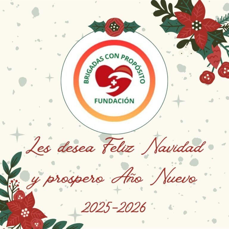 Brigada — 15 de diciembre de 2025